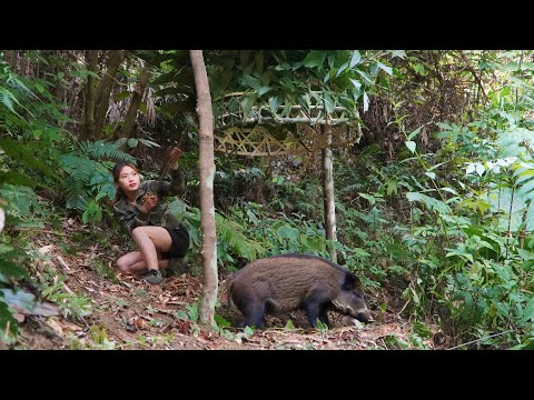 survival skills, catching traps, catching wild boars,