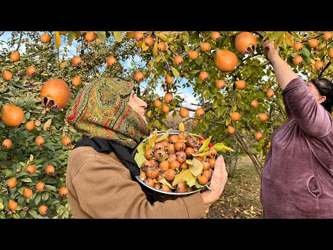Harvesting Medlars and making Pickle and Chicken Recipe!
