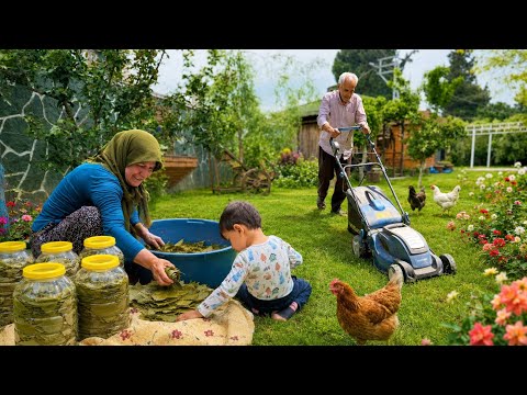 Köy Hayatı Salamura Yaprak Hasadı Kuzu Eti Kalem Sarması