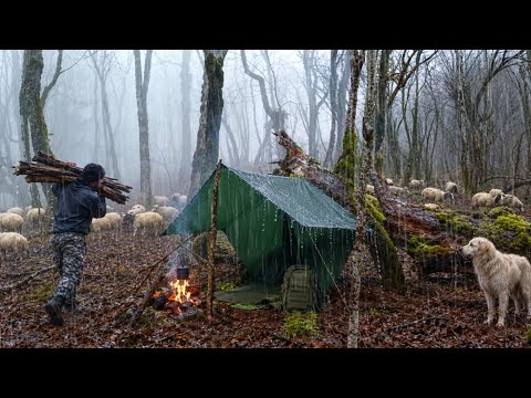 Rain Camping with Only a Tarp Cozy Shelter in Rain and