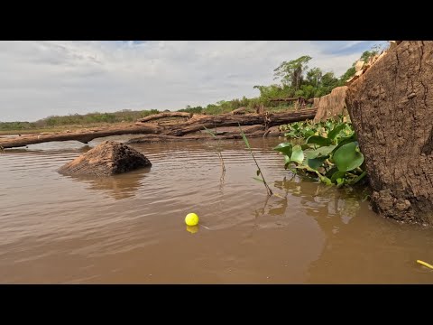 Pescaria de traíra no Rio secando até caborje estavam no