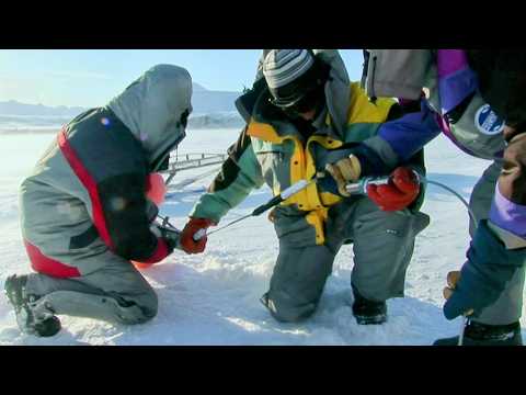 Mission Spitzberg : les secrets découverts sous la glace
