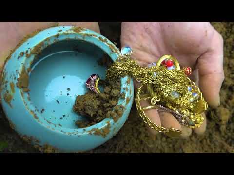 Searching for the Dream of Gold: Metal Detector Takes You