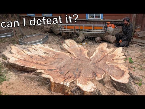 Monster saw vs giant stump – can I defeat it?