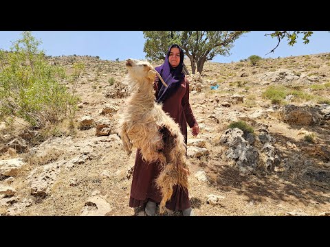 Kulthum fishing to save debts: Bitter end with deadly wolf