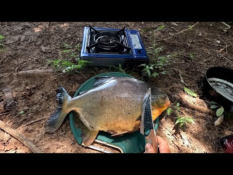 Pescaria de Pacu caranha no Rio turvo,tirei filé do gigante