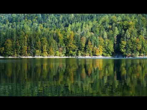 Telifsiz Doğa Videosu - 4K Ücretsiz Doğa, Göl (no Copyright