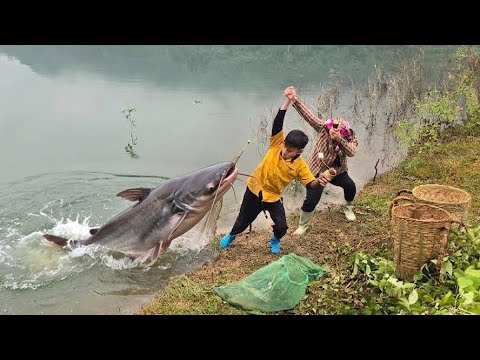 FULL VIDEO: Fish-catching methods, giant fish for sale,