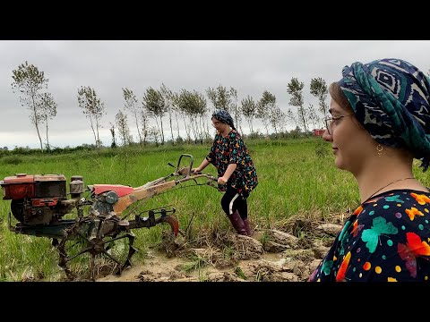 Village Farming Hand Tractor Ploughing & Clover Seed