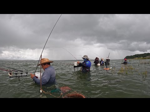 Nunca vi tanto peixes reunidos tá maluco Pescaria Raiz de
