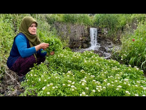 Yüksek Dağlarda Köy Yaşamı ~ Köy Hayatı Yemekleri Belgesel