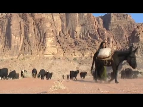 Un voyage en Jordanie