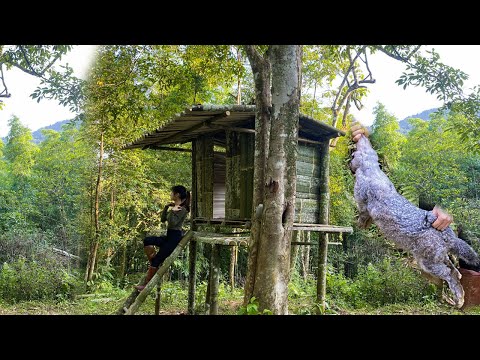 Build a bamboo house in the forest, hunter girl, make the