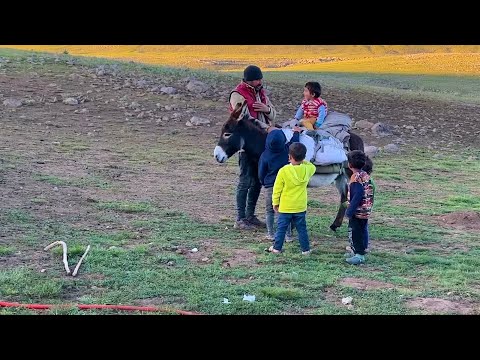 ÇOÇUKLARIN EŞEĞE BİNME MERAKI - DİŞİ KÖPEKLER YİNE BOĞUŞTU