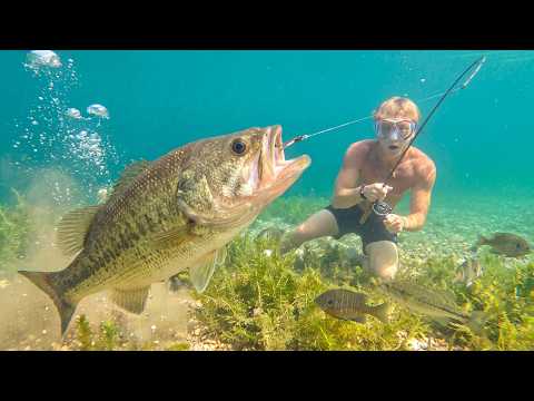 UNDERWATER Fishing CRYSTAL CLEAR Lakes for Big Bass