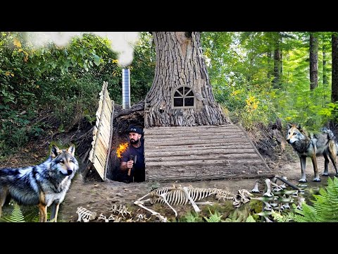 Building a secret shelter in a wolf's den wolves surround