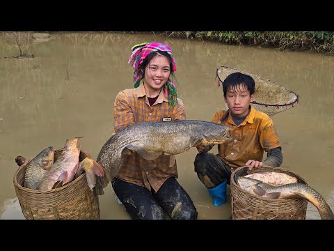 Draining an abandoned fish pond to catch and sell giant