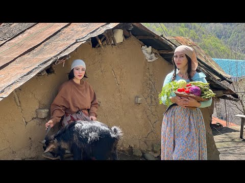 Cooking Vegetarian food Called "Tareh" on Sizdah be Dar