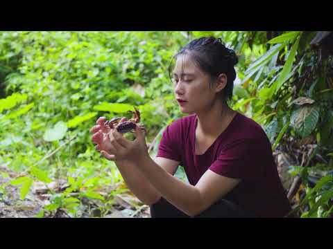 Harvesting Quails and Their Eggs & Go to Market Sell