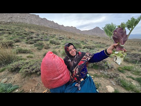 Gathering mountain herbs on a pleasant day: Baking local