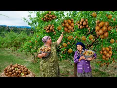 Harvesting Lots of Fresh Kiwi : Making Kiwi Jam and Cake in