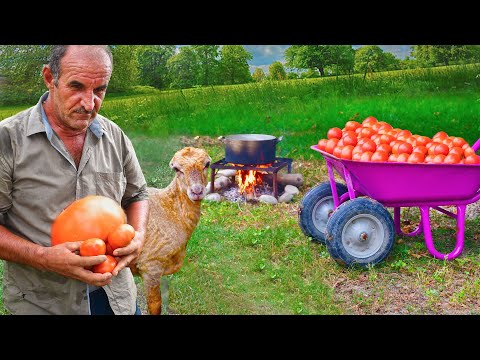 Country Life Vlog Azerbaijan | Making PICKLED TOMATOES in