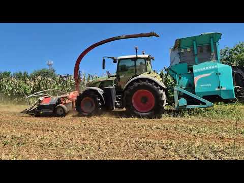 Fendt 724 ÖZBUDAK 옥수수사일리지 작업 CASE 135 VS300 휀트724 케이스135