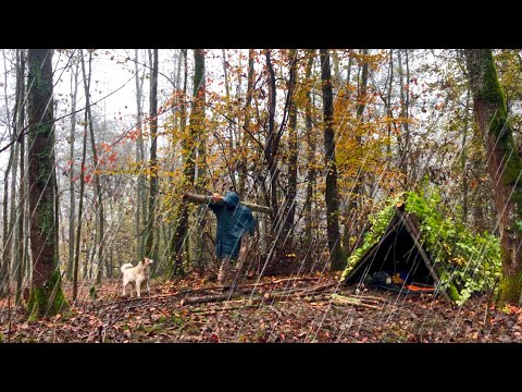 solo camping in the rainy forest with my dog: building