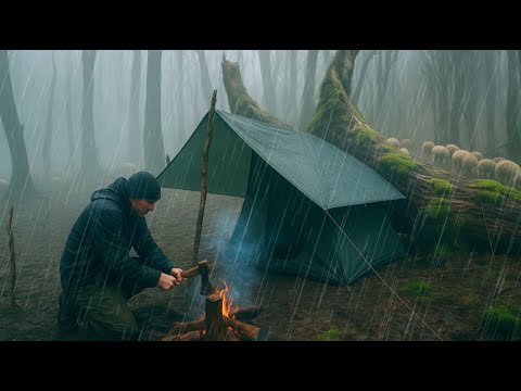 Camping in the Rain and the Craziest Fog - Solo camping in