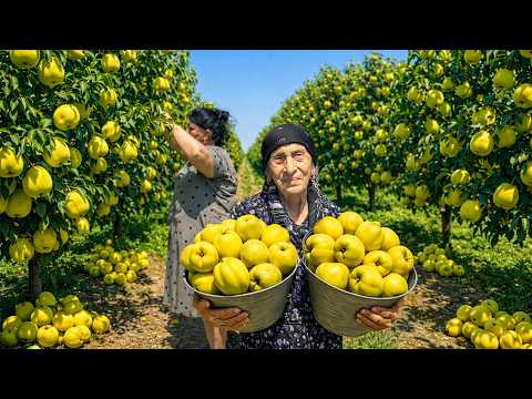 Traditional Village Jam Everyone Loves! Quince Jam &