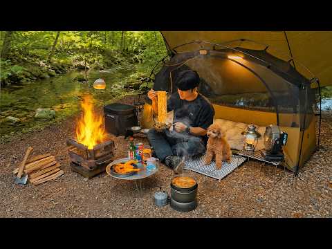 Camping in Forest with My Dog Korean Fried Chicken &