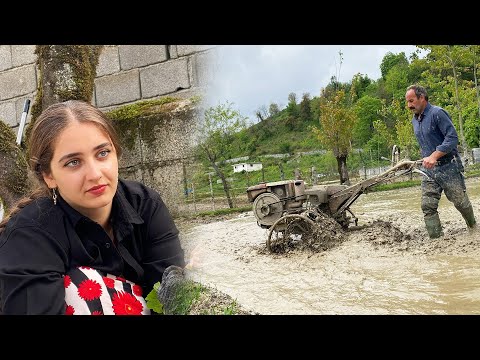 From Plowing and Preparing the Rice Field to Planting