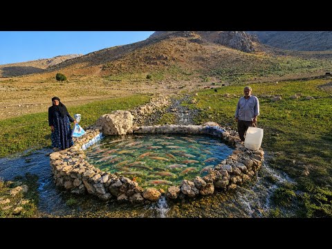 Building ponds and raising fish in the Zagros Mountains