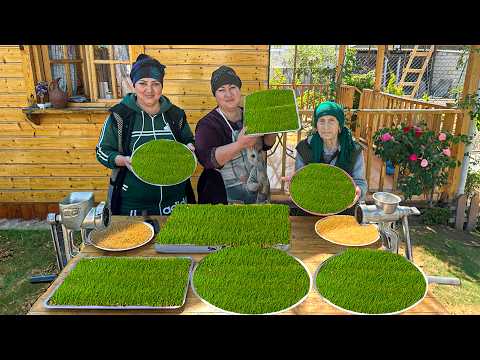 SEMENİ - Grandma Cooked Semeni Dessert, an Old Caucasian