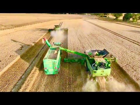 1 Hour Combine Harvester ASMR Wheat Harvest Sound 60min