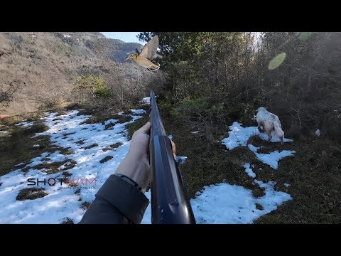 ÇULLUK AVI Kar sonrası çok zor bir av woodcock