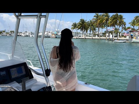 Yellowtails catch and cook in Miami waters
