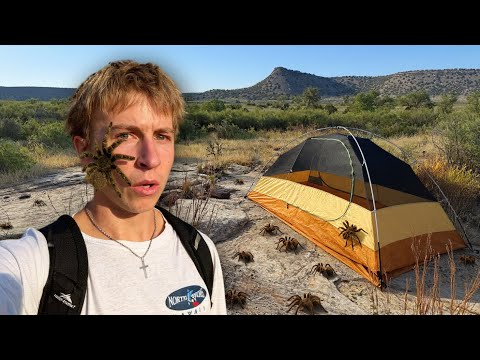 SOLO Camping Surrounded by TARANTULA Spiders - Fishing,