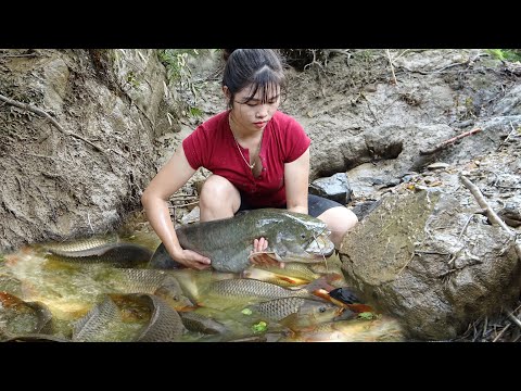 How to catch fish in the wild | sucking water and catching