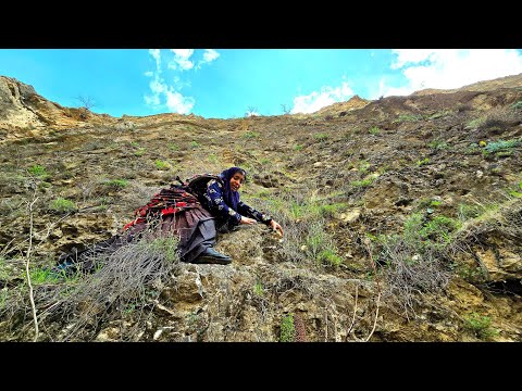 Mountain Woman: Traversing a Difficult Path for a Medicinal