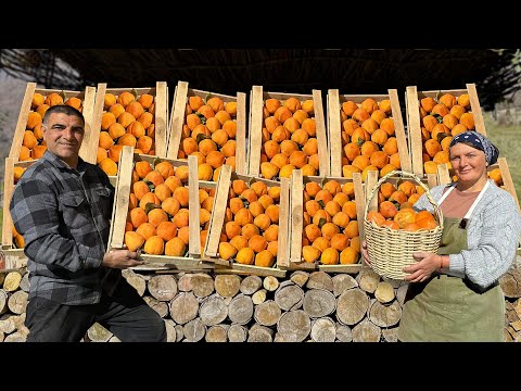 Collecting And Cooking An Incredible Dessert Of Juicy