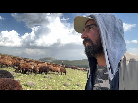 ZORLU YOLLAR BAJOLAR HER YERDE-ŞAHİN ABİ YARALANDI