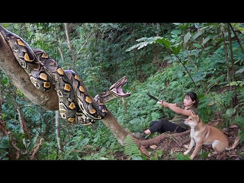 200 days of survival in the wild, trapping wild goats,