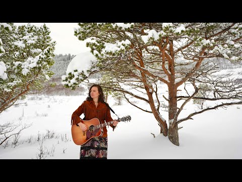 Red Leaf Hill - Where You Go (Official Music Video)
