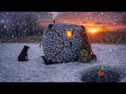 Winter camping, tent, dog, river, quiet fishing