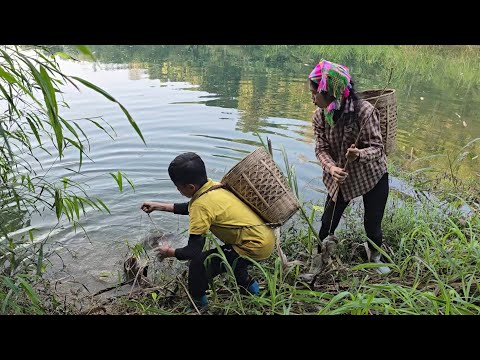 How to catch catfish using a bamboo pole, catch fish to
