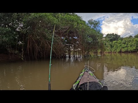 Pescaria nas corredeiras Rio turvo Os Brutos estavam