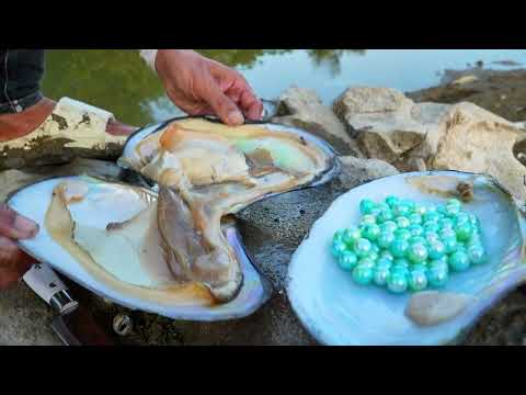 The girl uncovered a huge mussel and gasped at shiny