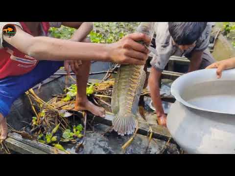 Village New Fishing By Raising Sinking Boats প্রাচীন