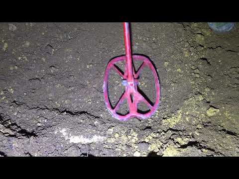 Found a Human Leg Bone Underwater in the River (Police